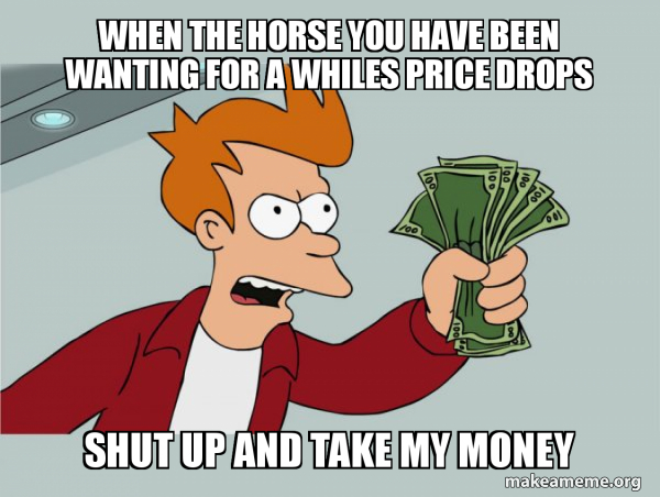 how much does it cost to have a horse